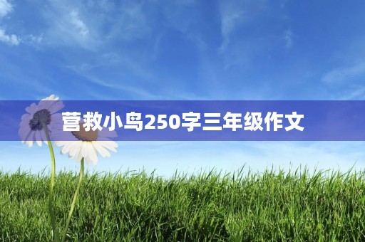 营救小鸟250字三年级作文 营救小鸟250字三年级作文