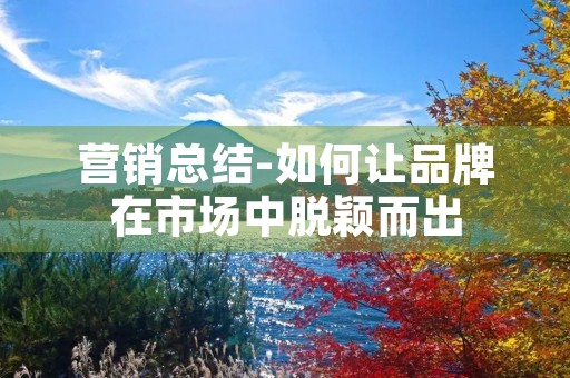 营销总结-如何让品牌在市场中脱颖而出