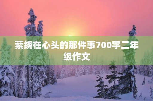 萦绕在心头的那件事700字二年级作文