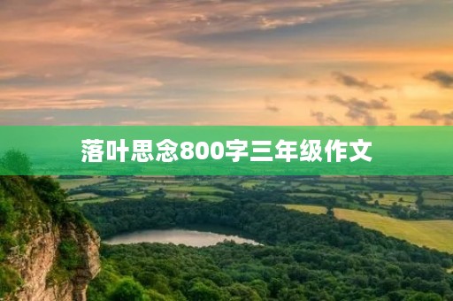落叶思念800字三年级作文