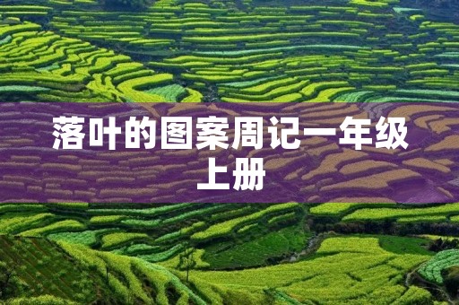 落叶的图案周记一年级上册 落叶的图案周记一年级上册