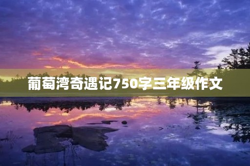 葡萄湾奇遇记750字三年级作文