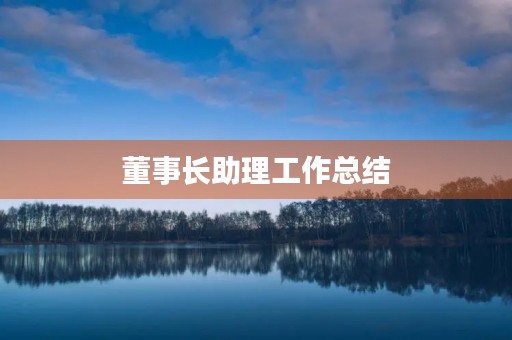 董事长助理工作总结