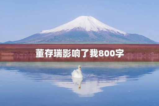董存瑞影响了我800字