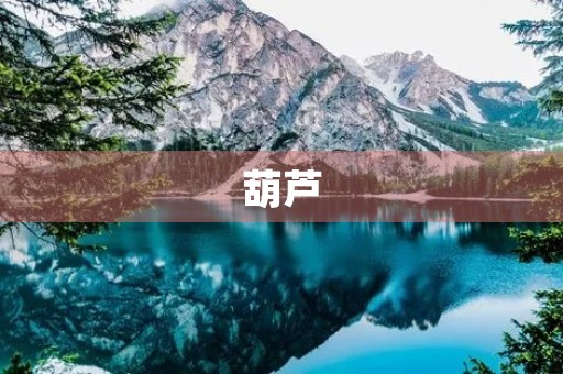 葫芦