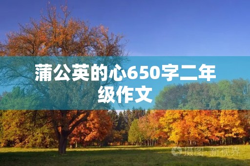 蒲公英的心650字二年级作文