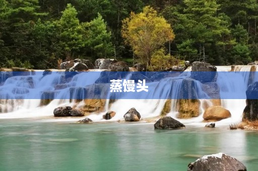 蒸馒头 蒸馒头