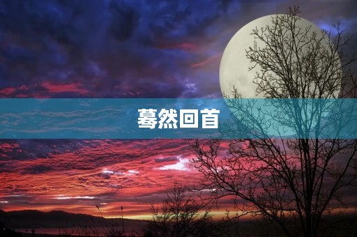 蓦然回首，我们的过去与未来