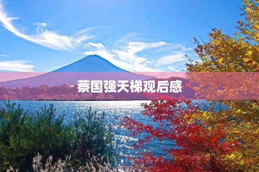 蔡国强天梯观后感 蔡国强天梯观后感
