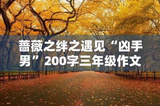 蔷薇之绊之遇见“凶手男”200字三年级作文
