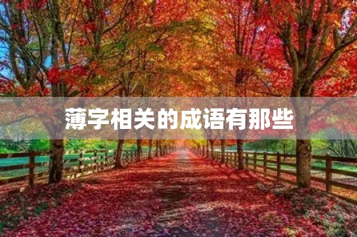 薄字相关的成语有那些