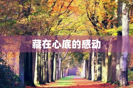藏在心底的感动 藏在心底的感动