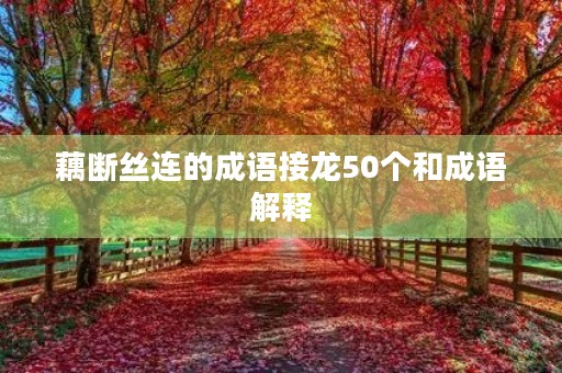 藕断丝连的成语接龙50个和成语解释