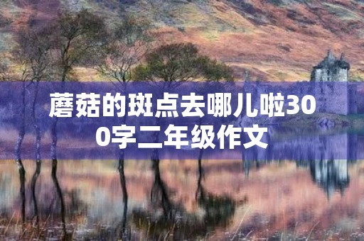 蘑菇的斑点去哪儿啦300字二年级作文