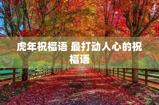 虎年祝福语 最打动人心的祝福语 虎年祝福语 最打动人心的祝福语