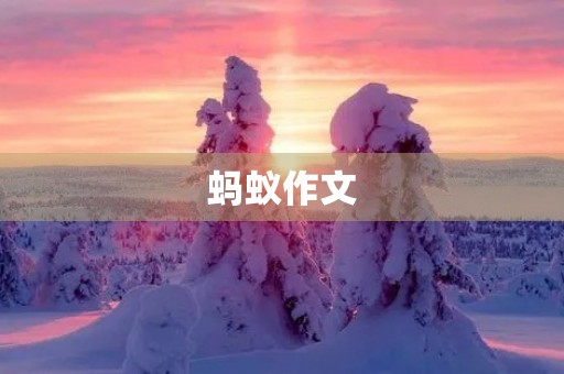 蚂蚁作文