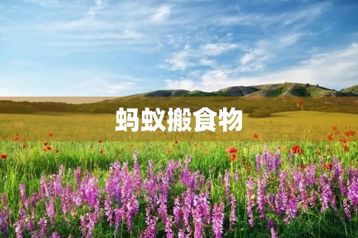 蚂蚁搬食物 蚂蚁搬食物
