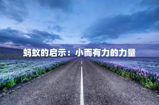 蚂蚁的启示：小而有力的力量