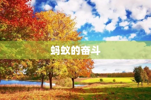 蚂蚁的奋斗