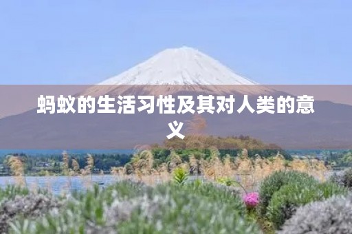 蚂蚁的生活习性及其对人类的意义