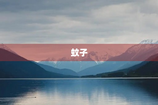 蚊子,小伙伴们,夏日,卫生,疾病 蚊子,小伙伴们,夏日,卫生,疾病