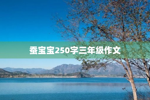 蚕宝宝250字三年级作文 蚕宝宝250字三年级作文