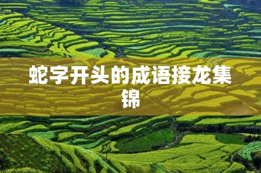 蛇字开头的成语接龙集锦