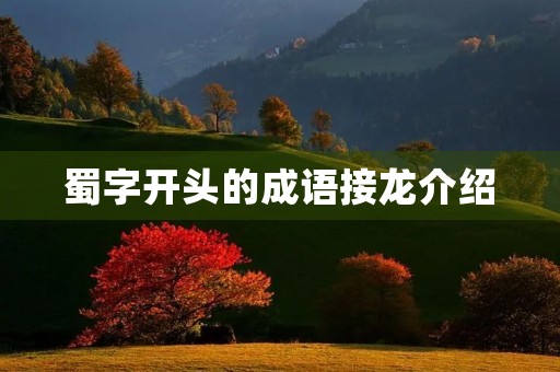 蜀字开头的成语接龙介绍