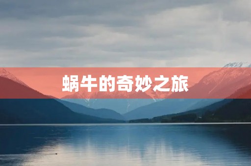 蜗牛的奇妙之旅