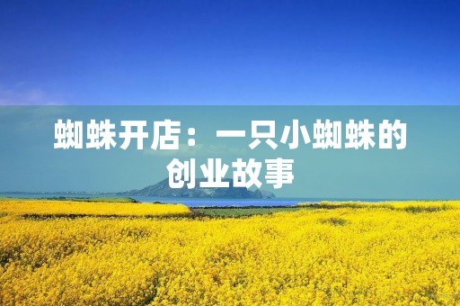 蜘蛛开店:一只小蜘蛛的创业故事 蜘蛛开店:一只小蜘蛛的创业故事