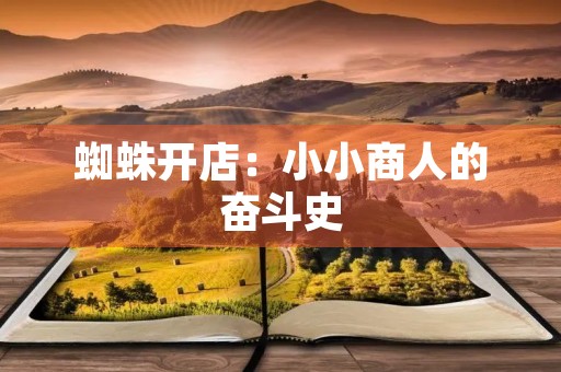 蜘蛛开店：小小商人的奋斗史