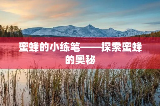 蜜蜂的小练笔——探索蜜蜂的奥秘