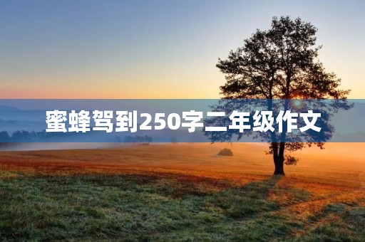 蜜蜂驾到250字二年级作文
