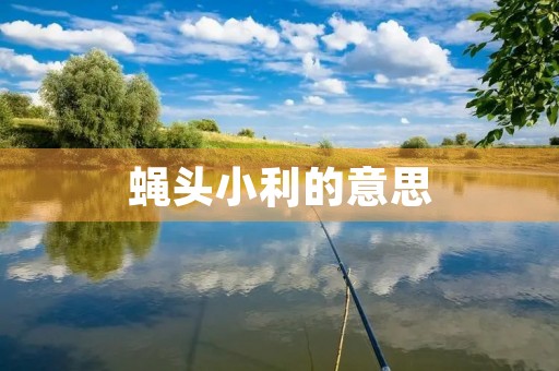 蝇头小利的意思(蝇头小利) 蝇头小利的意思(蝇头小利)