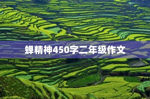 蝉精神450字二年级作文