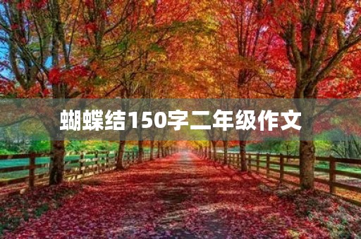 蝴蝶结150字二年级作文