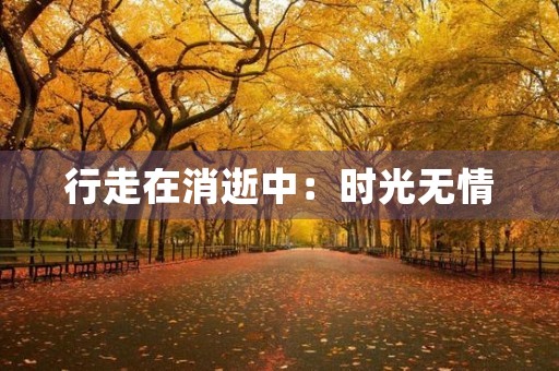 行走在消逝中:时光无情,岁月如梭 行走在消逝中:时光无情,岁月如梭