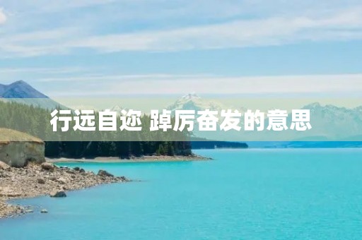 行远自迩 踔厉奋发的意思
