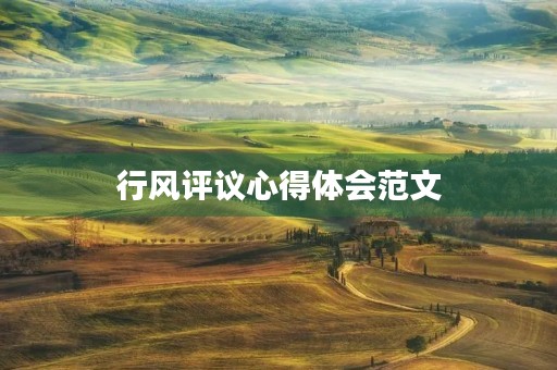 行风评议心得体会范文