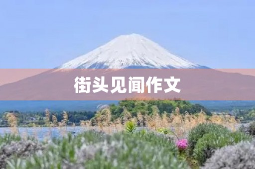 街头见闻作文 街头见闻作文