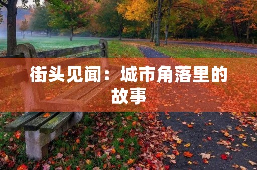 街头见闻：城市角落里的故事