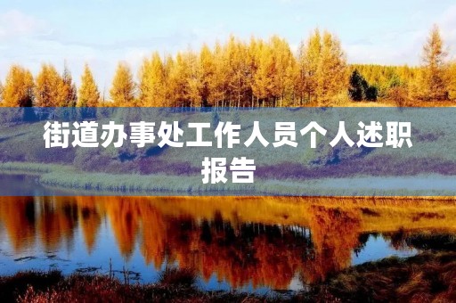 街道办事处工作人员个人述职报告