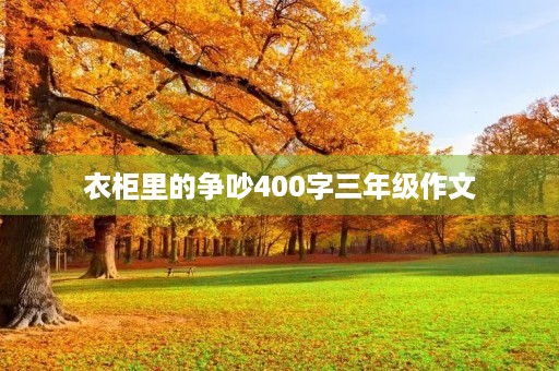 衣柜里的争吵400字三年级作文 衣柜里的争吵400字三年级作文