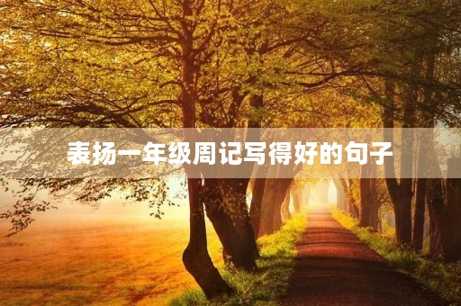 表扬一年级周记写得好的句子
