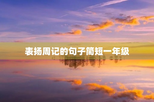 表扬周记的句子简短一年级