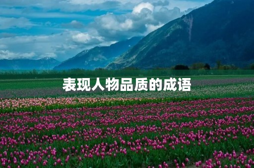 表现人物品质的成语