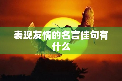 表现友情的名言佳句有什么(表现友情的名言佳句有什么特点)