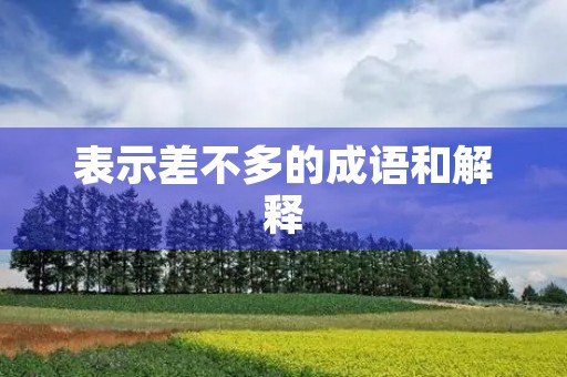 表示差不多的成语和解释