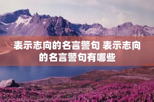 表示志向的名言警句 表示志向的名言警句有哪些