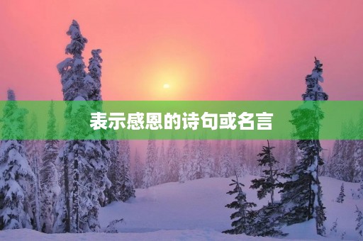 表示感恩的诗句或名言，表示感恩的诗句或名言事业